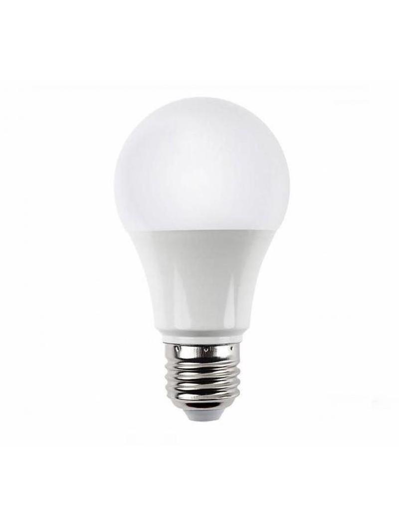 LED LAMP E27 - DAGLICHTLAMP, KOUD WIT (voor de perfecte foto) - Werklamp Nagelstyliste NailAddict